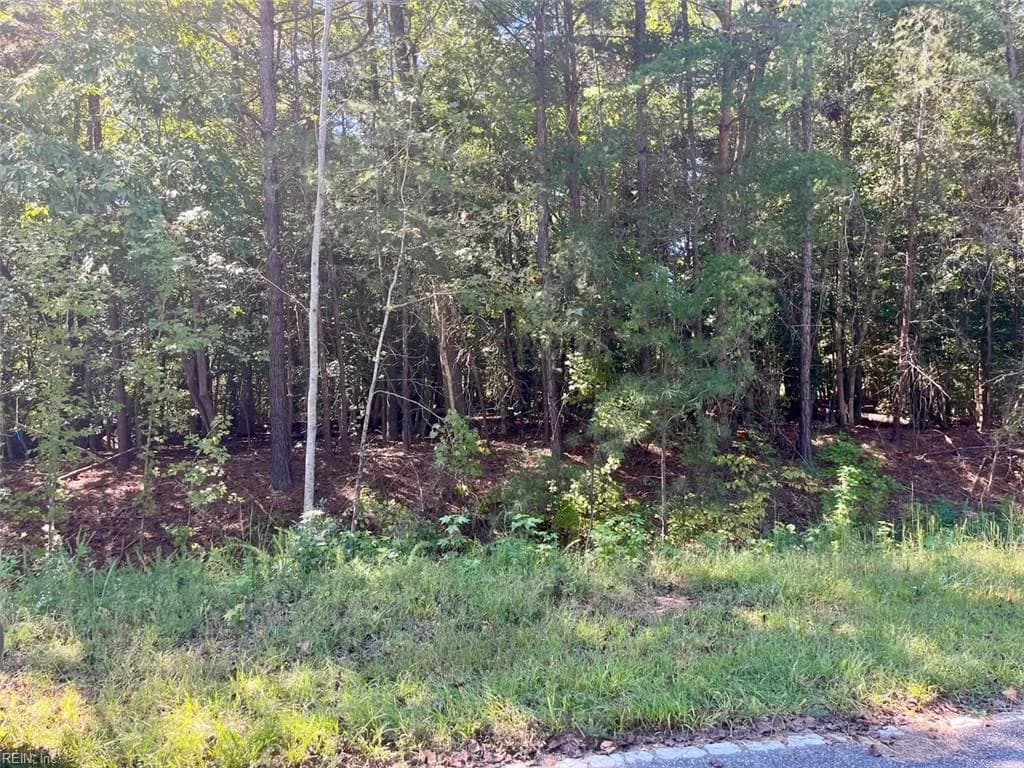 5329 Ridgewood HLS, WILLIAMSBURG VA 23188 - Photo 2