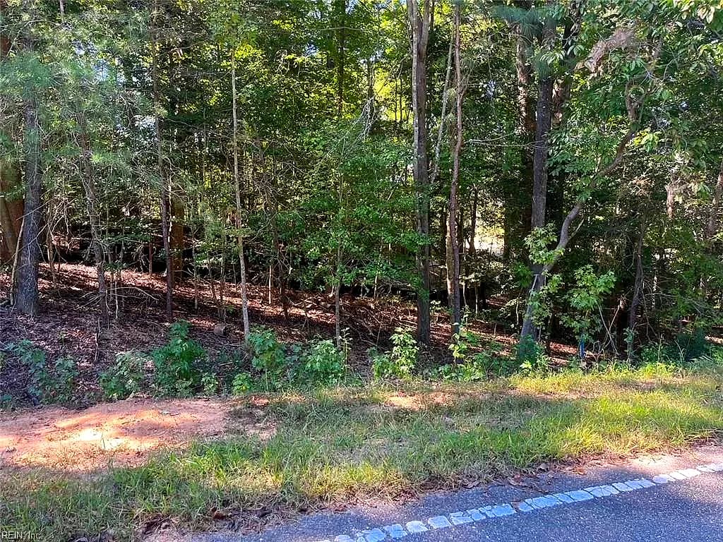 5329 Ridgewood HLS, WILLIAMSBURG VA 23188 - Photo 3