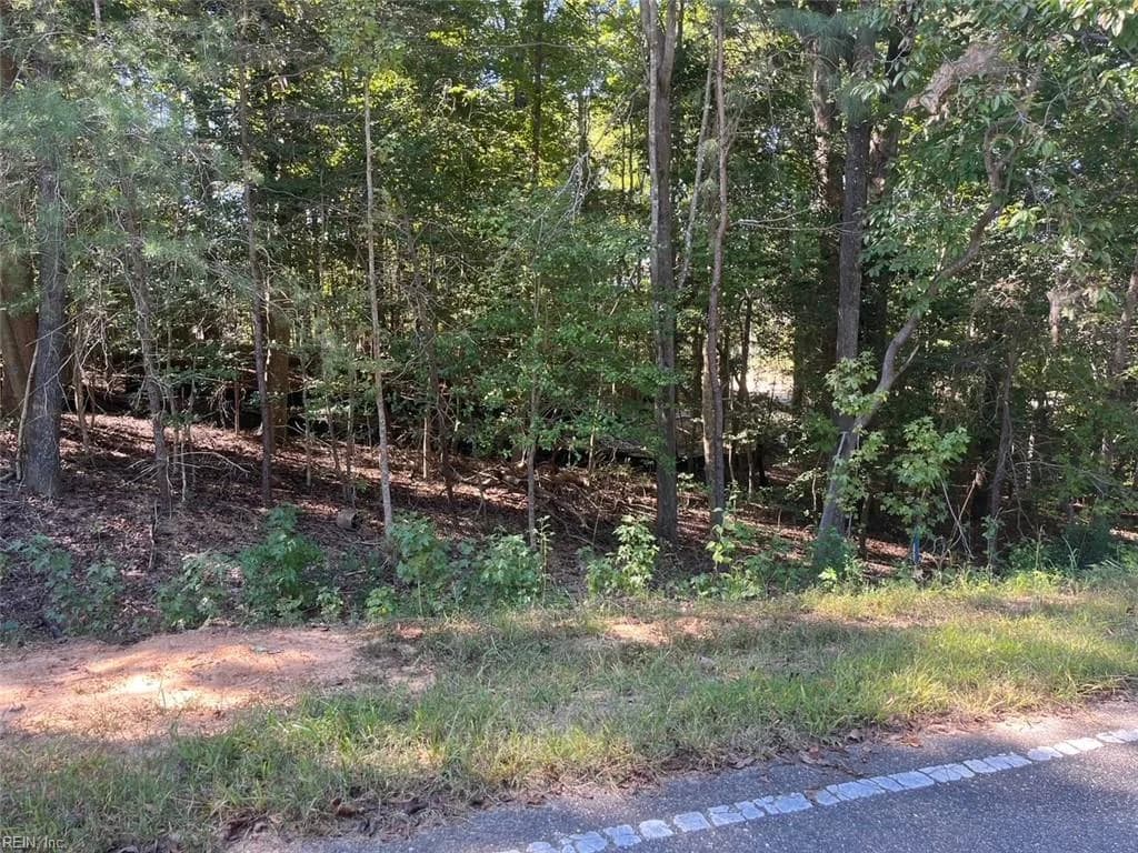 5329 Ridgewood HLS, WILLIAMSBURG VA 23188 - Photo 3