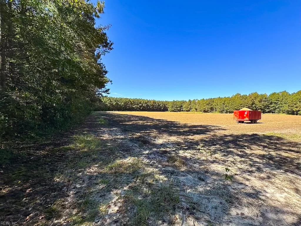 45.5 Acres Cypress Chapel RD, SUFFOLK VA 23434 - Photo 3