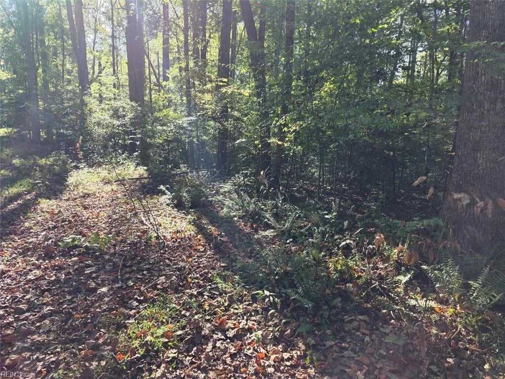 5.71ac New Upton Farms LN, GLOUCESTER VA 23061