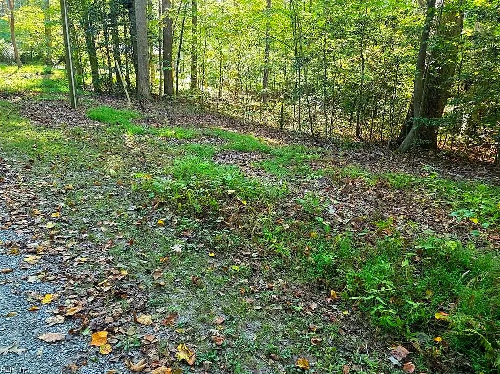 5.71ac New Upton Farms LN, GLOUCESTER VA 23061 - Photo 3