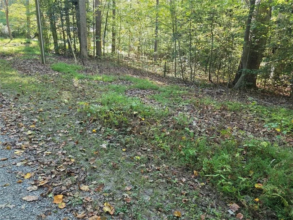 5.71ac New Upton Farms LN, GLOUCESTER VA 23061 - Photo 3