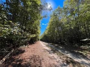 15 Acres Cypress Chapel RD, SUFFOLK VA 23434 - Photo 3