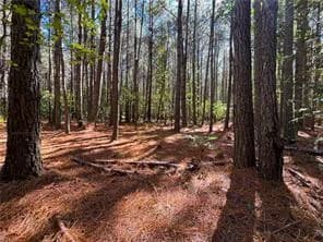 15 Acres Cypress Chapel RD, SUFFOLK VA 23434 - Photo 4