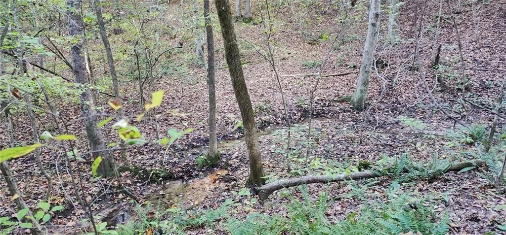 16.4ac Plainview DR, SALUDA VA 23149 - Photo 4