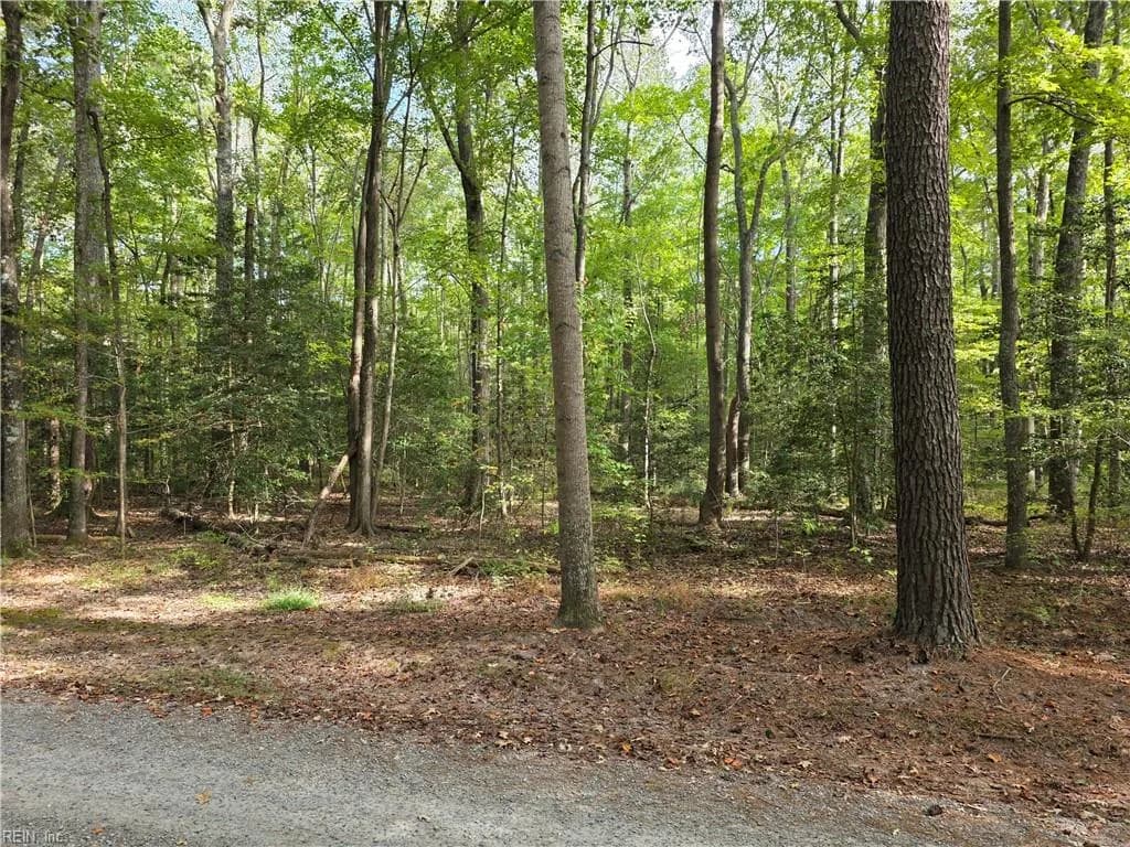 00 Bermuda Road RD, LANCASTER VA 22503 - Photo 3