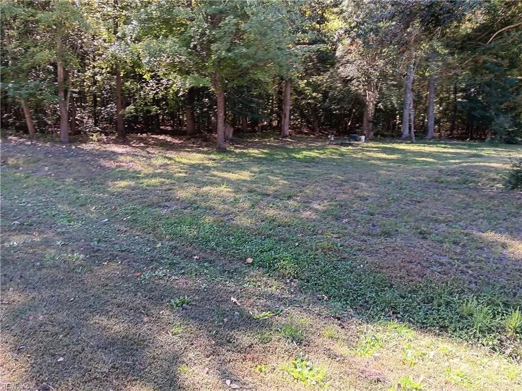 .50 AC Cove RD, HAYES VA 23072 - Photo 4