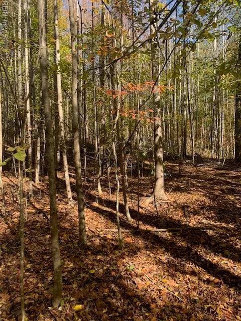 17+ac T.C. Walker Rd (Off of). Rt. 629 LN, GLOUCESTER VA 23061 - Photo 2