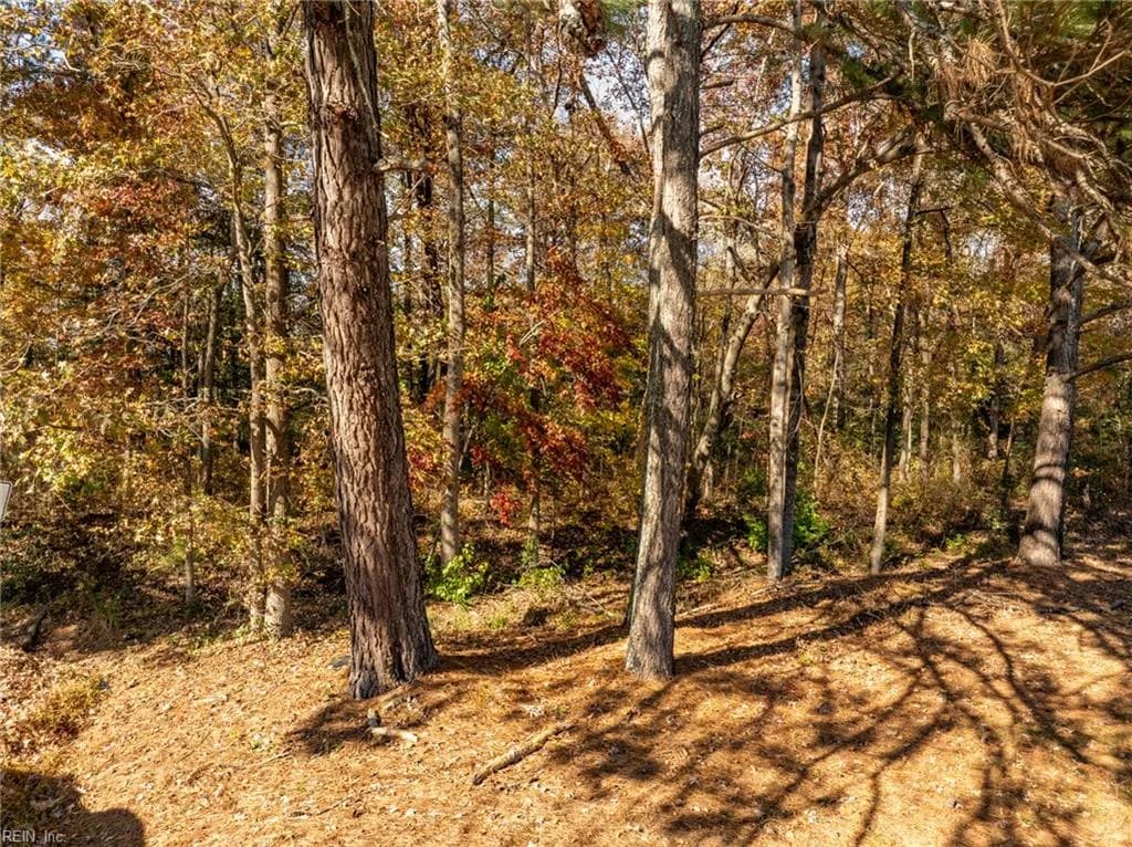 2.7ac Twilight ST, WAKEFIELD VA 23888 - Photo 4