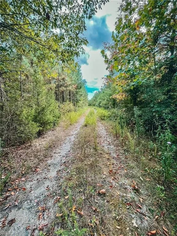 20 Brewers Neck BLVD, CARROLLTON VA 23314 - Photo 3