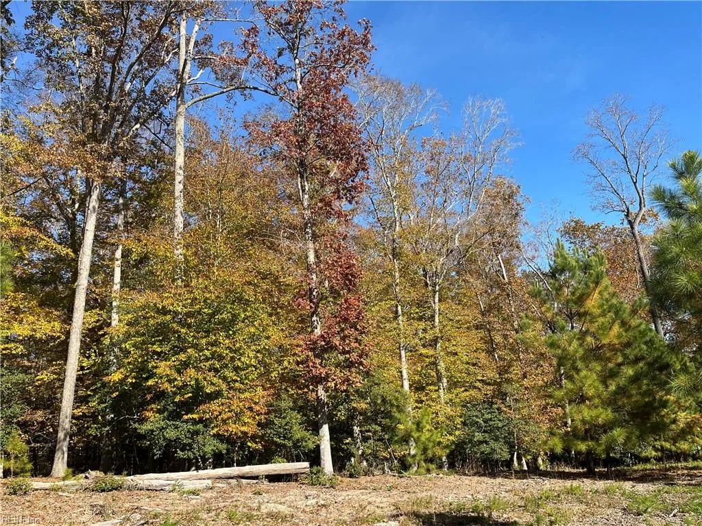 2425 Jolly Pond RD, Williamsburg — Land and Farms