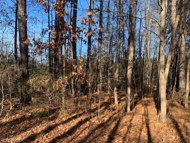 Lot 23 Chambliss RD, EMPORIA VA 23847 - Photo 3