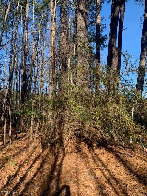 Lot 23 Chambliss RD, EMPORIA VA 23847 - Photo 4