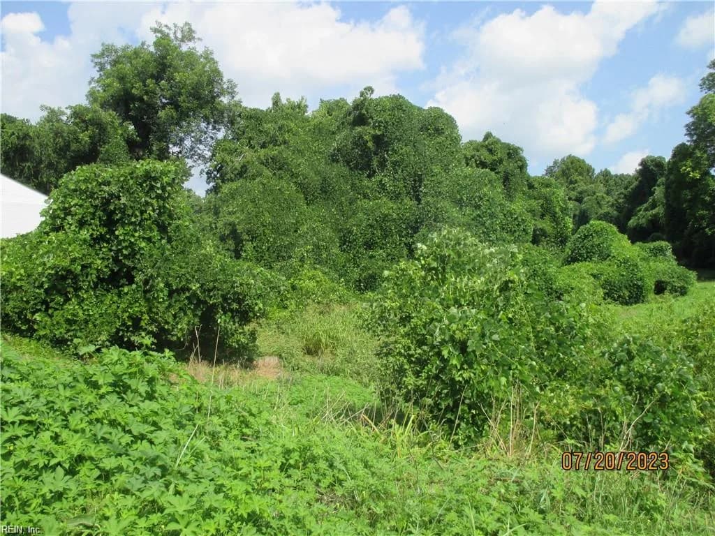 134 Mahan ST, SUFFOLK VA 23434 - Photo 4