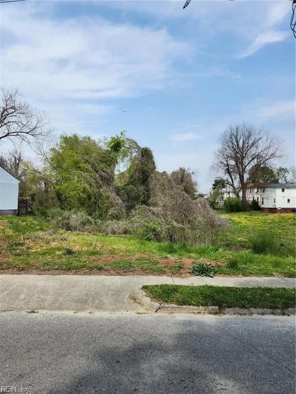 136 Mahan ST, SUFFOLK VA 23434 - Photo 2