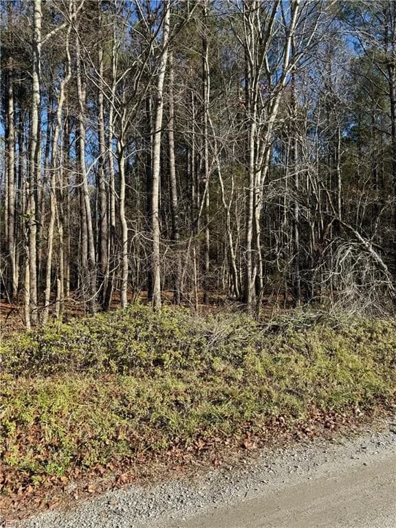 .95AC Cowpen Neck RD, GLOUCESTER VA 23061 - Main photo