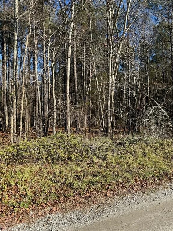 .95AC Cowpen Neck RD, GLOUCESTER VA 23061