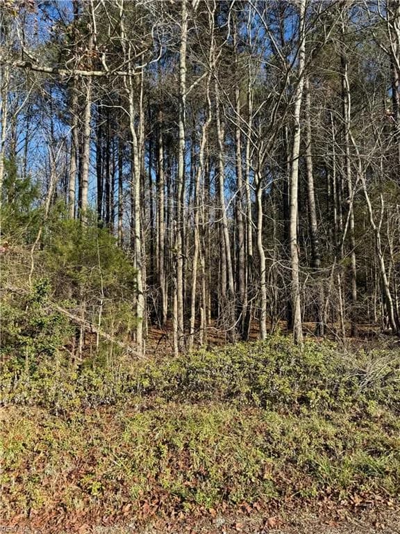 .95AC Cowpen Neck RD, GLOUCESTER VA 23061 - Photo 3