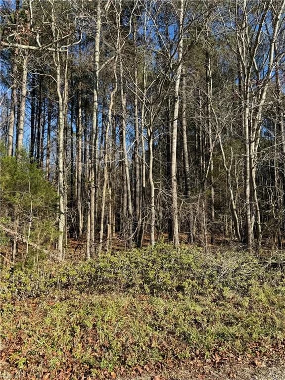 .95AC Cowpen Neck RD, GLOUCESTER VA 23061 - Photo 5