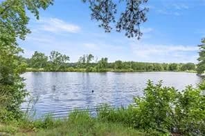 9742 Mill Swamp RD, SMITHFIELD VA 23430 - Photo 2