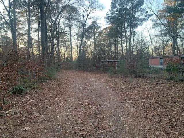 5217 Blackie LN, ZUNI VA 23898 - Photo 4