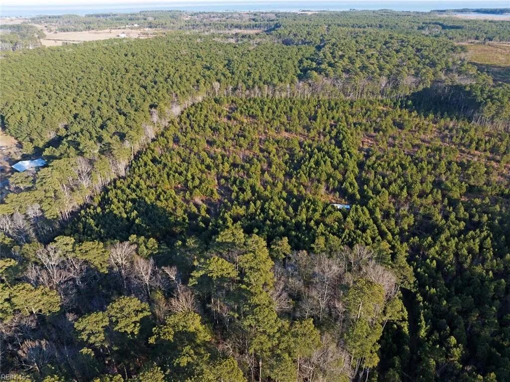 25+AC Salem Church RD, MATHEWS VA 23109 - Photo 3