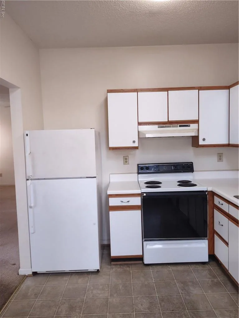203 Quarter TRL #F, NEWPORTNEWS VA 23608 - Photo 3