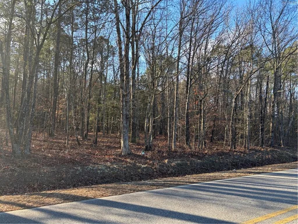 7.88ac Eleytown RD, MURFREESBORO NC 27855 - Photo 3