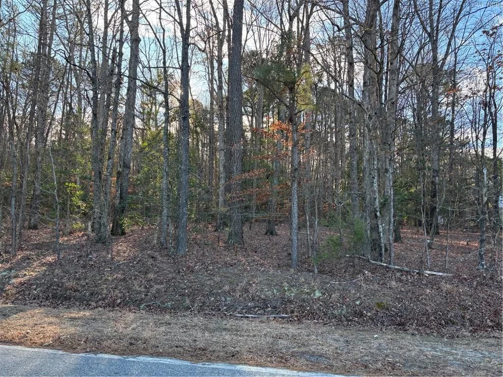 7.88ac Eleytown RD, MURFREESBORO NC 27855 - Photo 5
