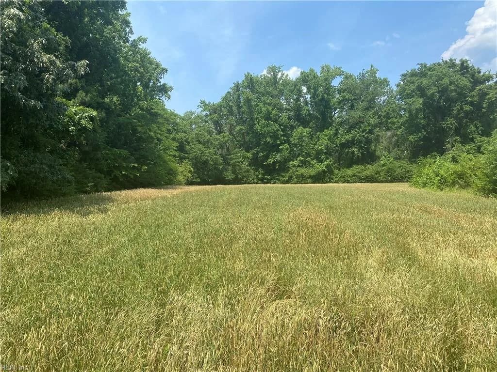 1916 Land Of Promise RD, CHESAPEAKE VA 23322 - Photo 4