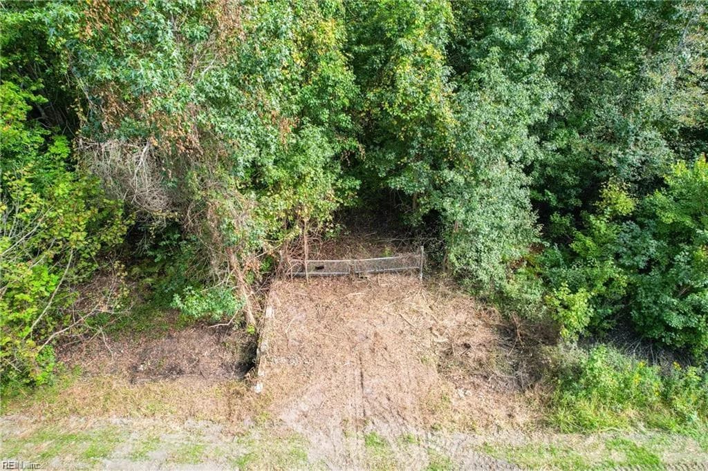 2.5 Ac Dismal Swamp Canal TRL, CHESAPEAKE VA 23322 - Main photo