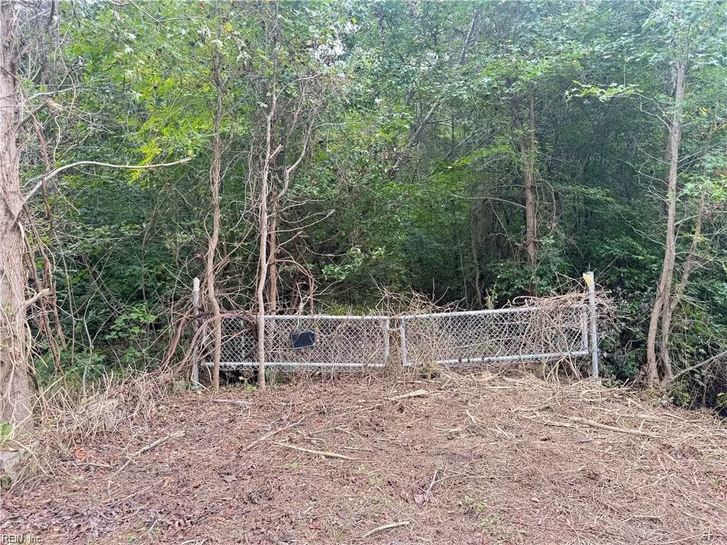 2.5 Ac Dismal Swamp Canal TRL, CHESAPEAKE VA 23322 - Photo 3