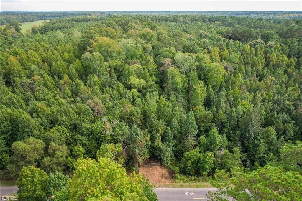 2.5 Ac Dismal Swamp Canal TRL, CHESAPEAKE VA 23322 - Photo 4