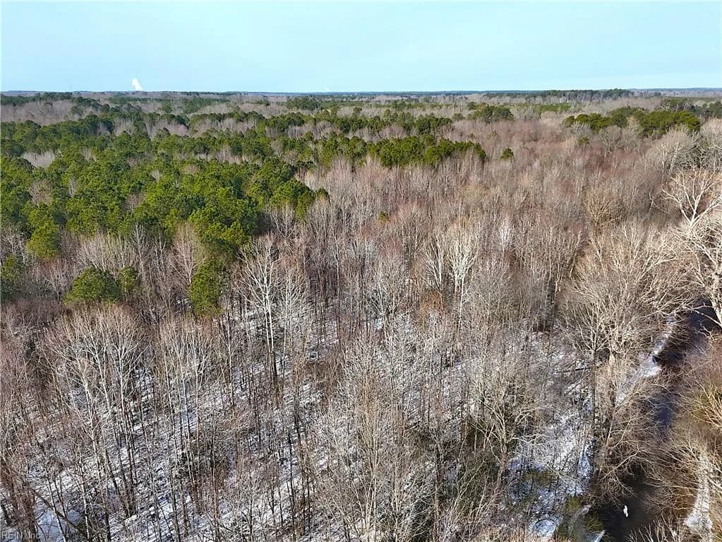 29Ac Moonlight RD, EMPORIA VA 23847 - Photo 4