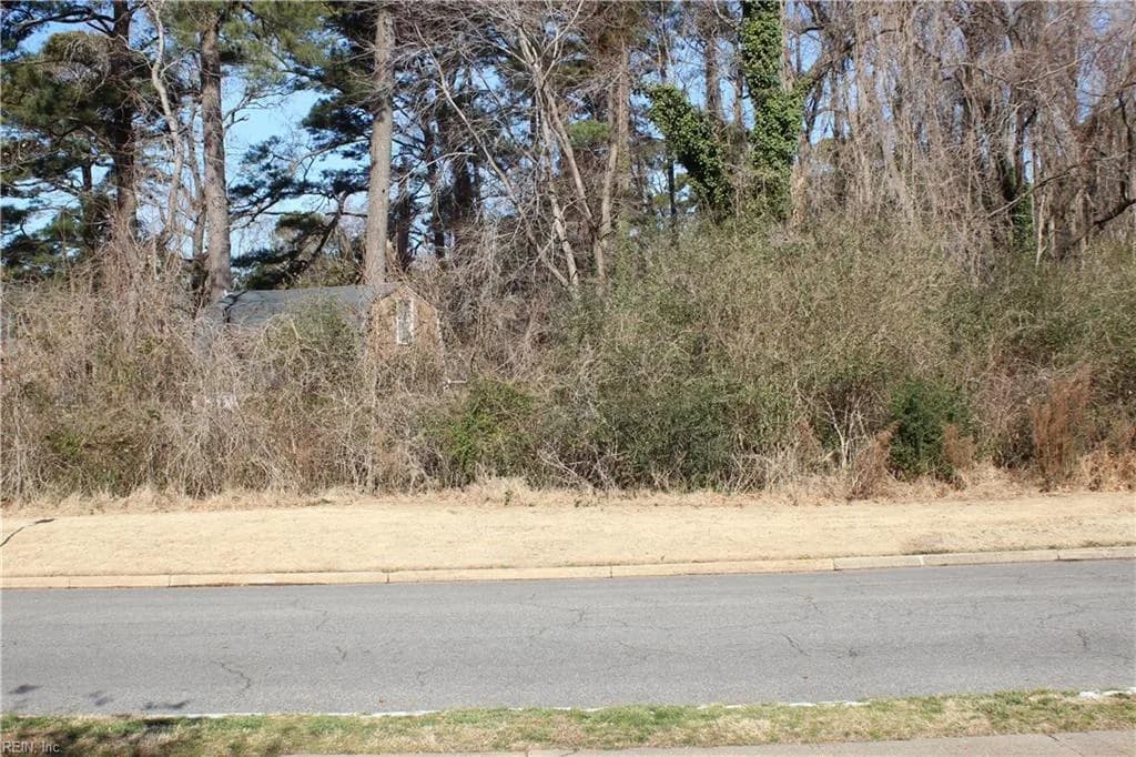 .51+AC Waterfront DR, VIRGINIABEACH VA 23451 - Photo 4