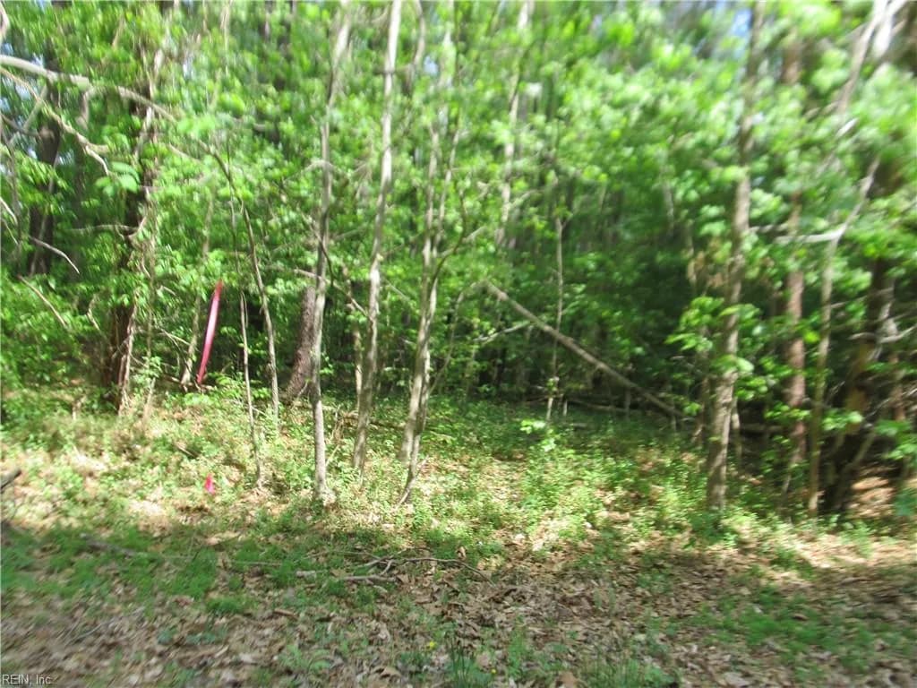 LOT 80 POPLAR SPRINGS DR, GLOUCESTER VA 23061 - Main photo