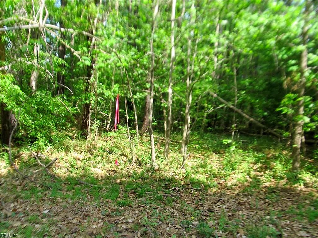 LOT 80 POPLAR SPRINGS DR, GLOUCESTER VA 23061 - Photo 4