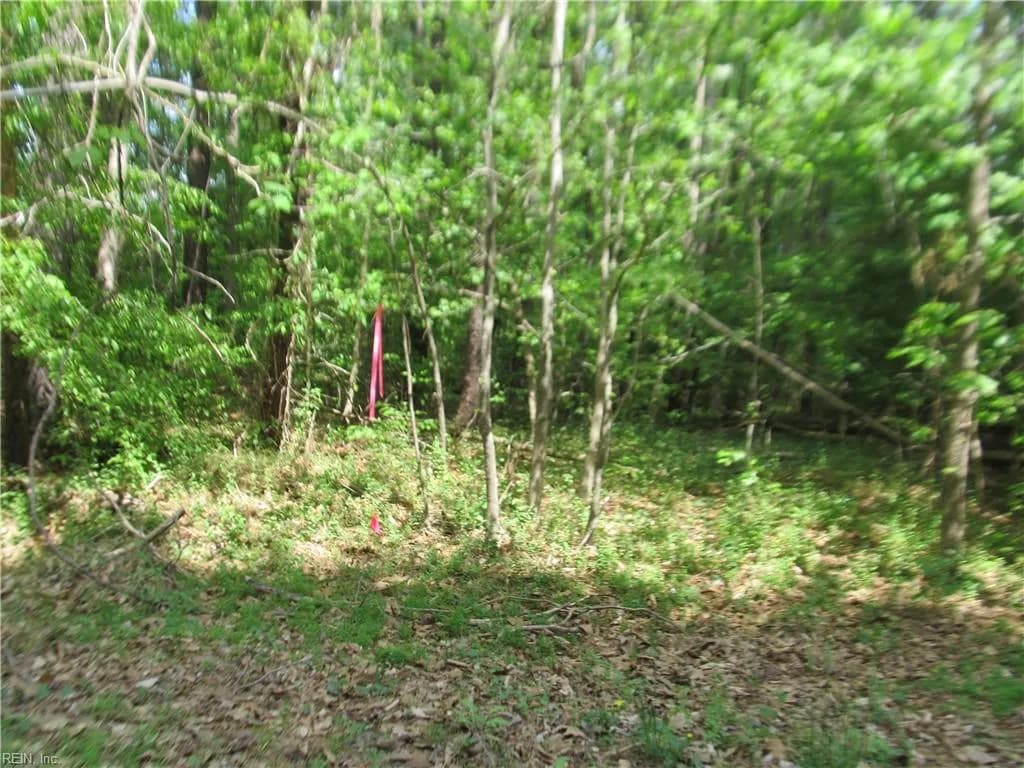 LOT 80 POPLAR SPRINGS DR, GLOUCESTER VA 23061 - Photo 4