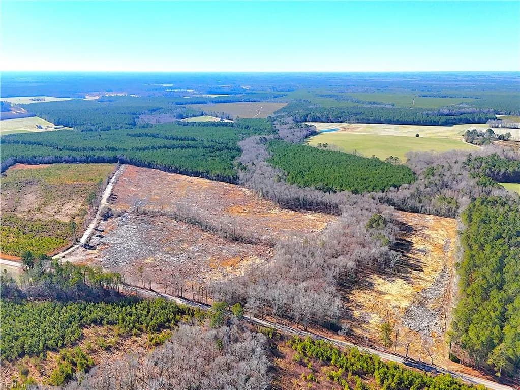 31.5ac Courthouse RD, WAVERLY VA 23890 - Photo 2