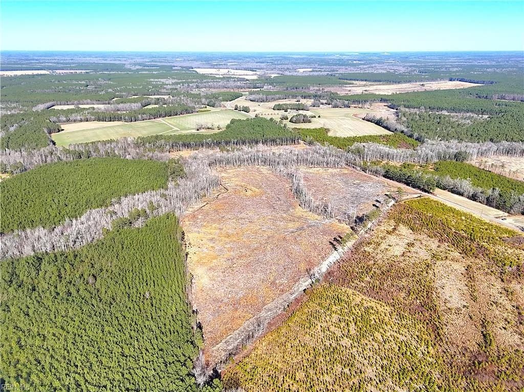 31.5ac Courthouse RD, WAVERLY VA 23890 - Photo 4