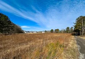 7175 Corinth Chapel RD, Suffolk — Land and Farms