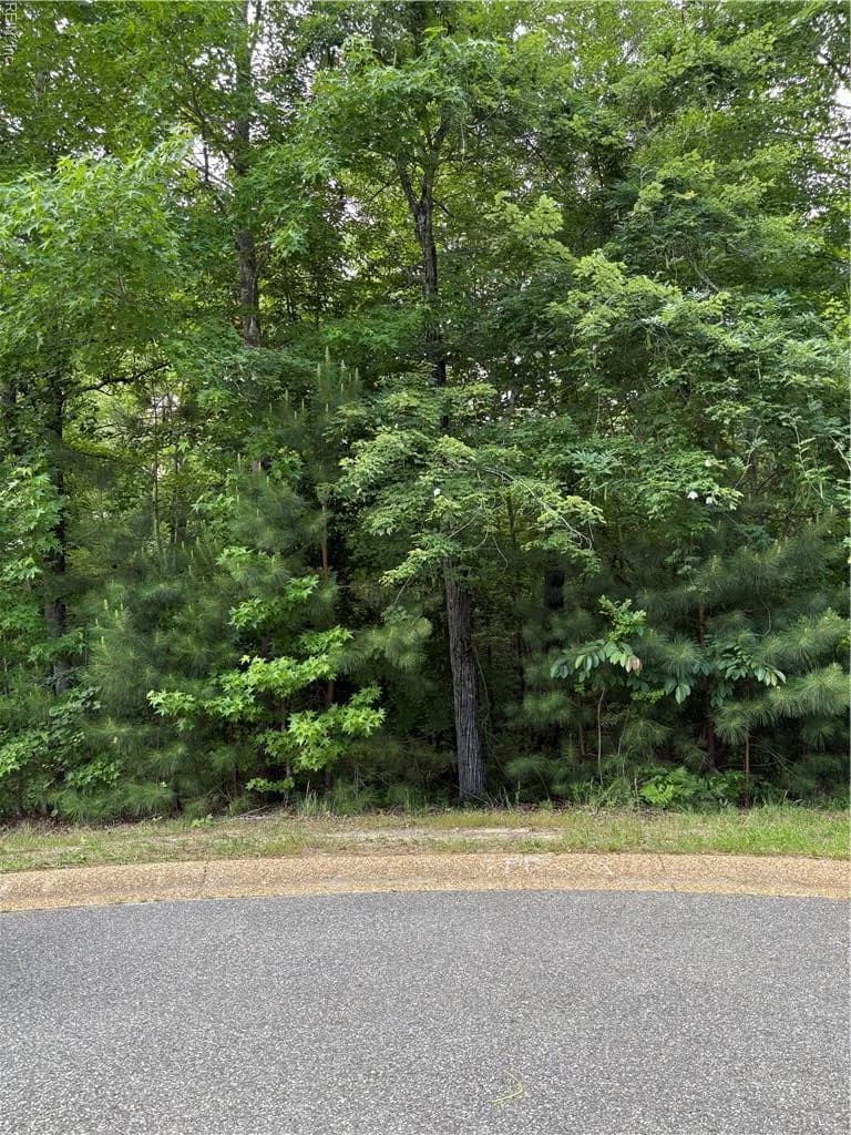 119 Hurlston, Williamsburg, VA 23188, USA - Photo 3