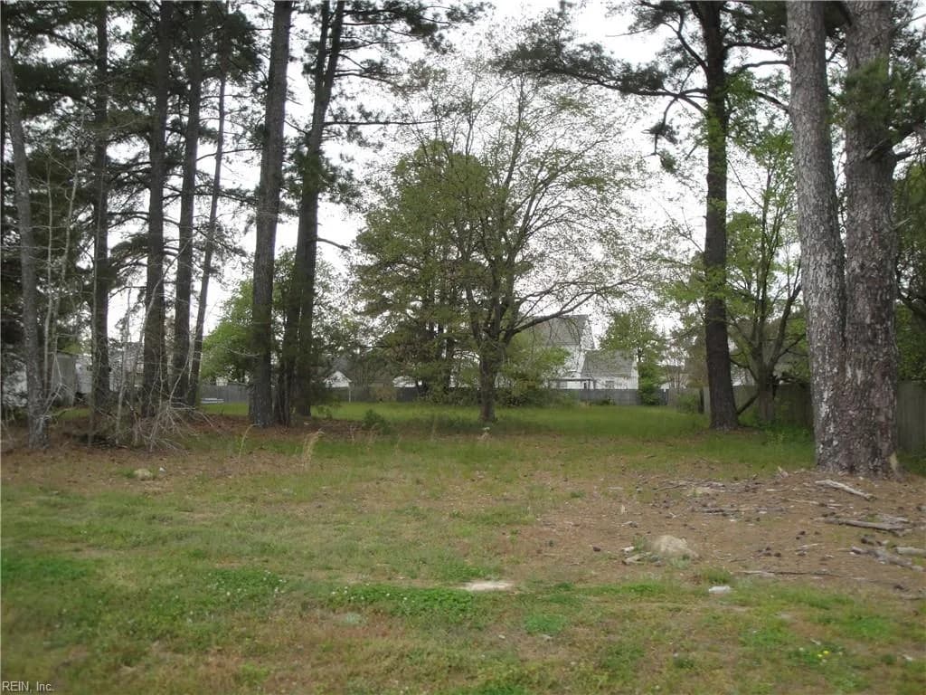 .51ac Holland RD, SUFFOLK VA 23434 - Photo 3