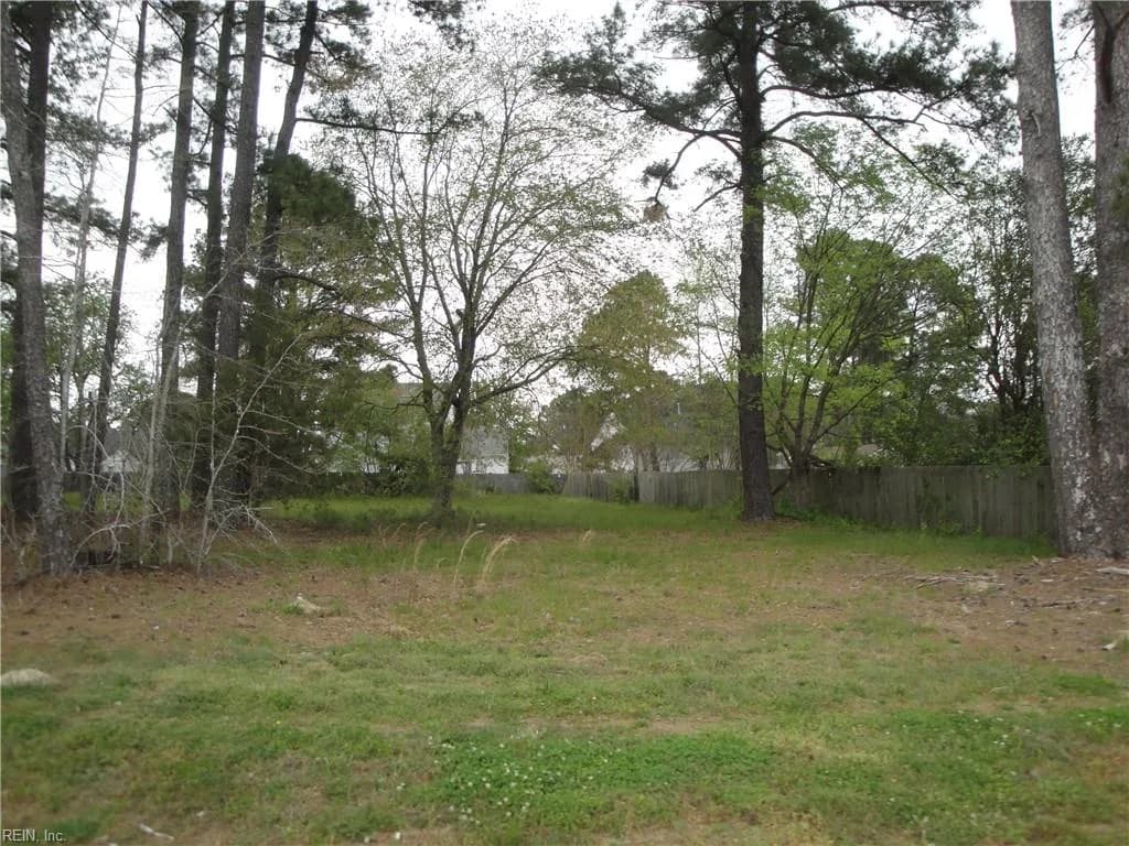.51ac Holland RD, SUFFOLK VA 23434 - Photo 5