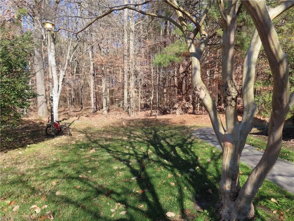 212 Burman Woods DR, HAMPTON VA 23666 - Photo 4