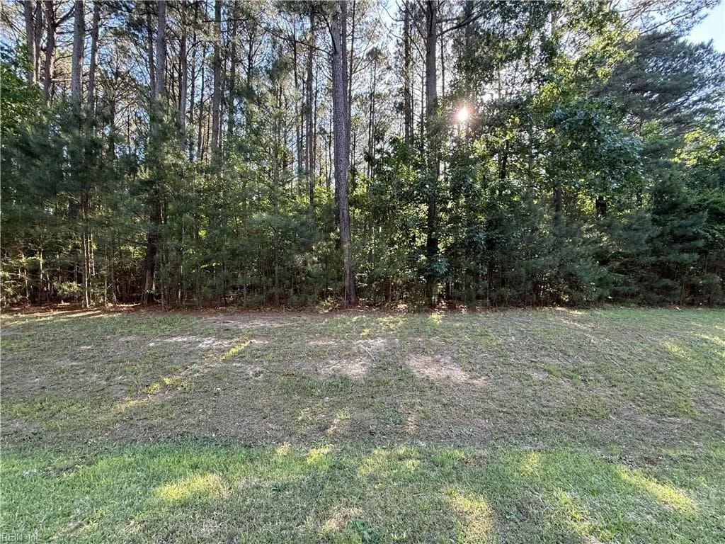 1220 Lawnes Neck DR, SMITHFIELD VA 23430 - Photo 4
