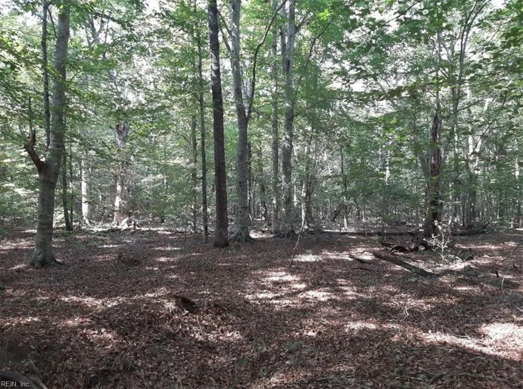 6592 Blackwater RD, VIRGINIABEACH VA 23457 - Photo 2