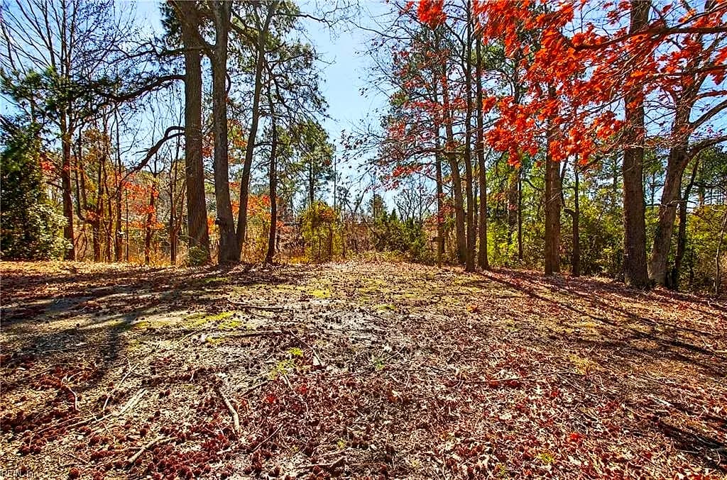 .659 Old Virginia Beach RD, VIRGINIABEACH VA 23451 - Photo 3