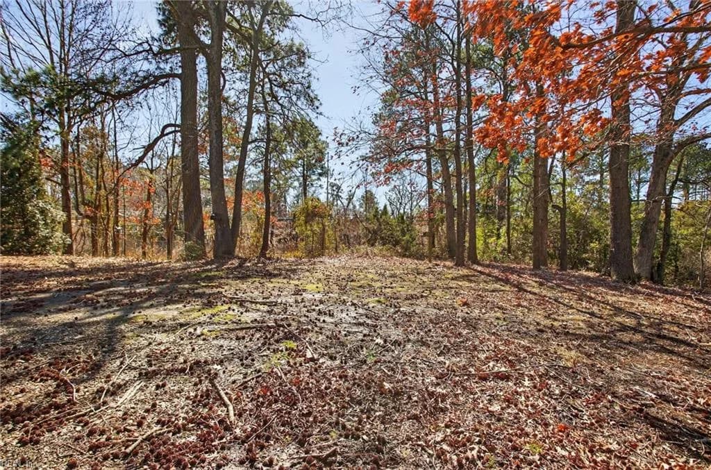 .659 Old Virginia Beach RD, VIRGINIABEACH VA 23451 - Photo 3